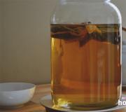 How to grow kombucha from scratch right at home