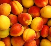 Apricots kwenye tafsiri ya mti wa kitabu cha ndoto