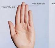 The index finger is longer than the ring finger What does it mean if the index finger is longer
