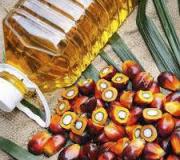 Como identificar óleo de palma em produtos